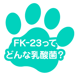 FK-23ってどんな乳酸菌？